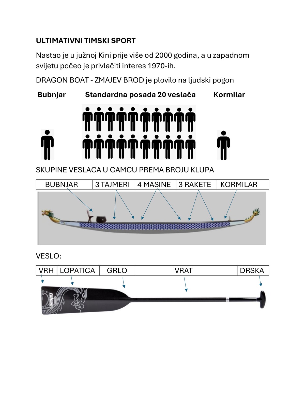Infografika o dragon boat čamcu i veslu
